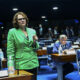 Foto: Andressa Anholete/Agência Senado