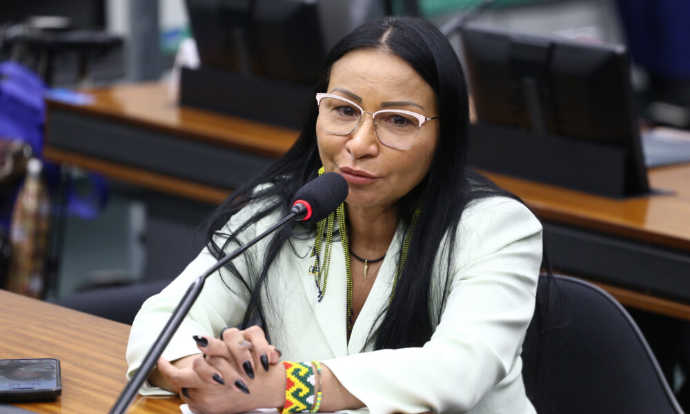 Foto: Vinicius Loures/Câmara dos Deputados